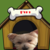 Fifi_in_house