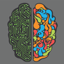 Brain-sides