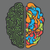 Brain-sides