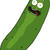 Picklerick
