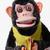 Cymbalmonkey
