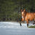 20170102_img_0845-edit-edit