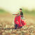 Asaaahraful_arefin_01