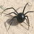 Image001_25441943998_o