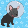 Lone_frenchy-wstars_copytumblr