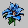 Blue_iris
