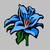 Blue_iris