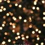 Img_0004(1)