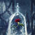 Disneystyle_batb_wallpaper_mobile_02-169x300