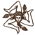 Bannertrinacria2