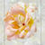 Yellow_rose_pic_sm2
