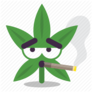 Cannabis-18-512