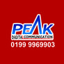 Peak_logo