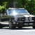 Mustang_50
