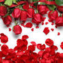 Background_paveena