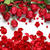 Background_paveena