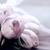 Tulips-4072214_960_720