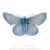 Commonbluebutterfly
