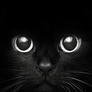 Cat-face
