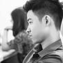 Thevang1