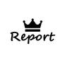 Report_king_2