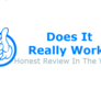 Doesitreallywork-logo