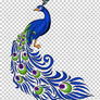 Drawing-art-peafowl-painting-clip-art-rangoli