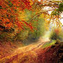 Road-1072823_960_72_bis0