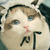 01-meo-duc-mac-do-hau-gai-1tach.com