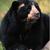 Fb_img_1572821732672
