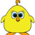 Beth_bird_color
