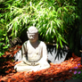 Bamboo-water_small