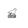 Scout