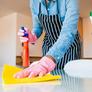 Cleaner-