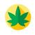 Cbd