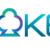 Idn-poker_logo