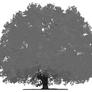 Pridetree.500