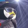 Penguin_swag