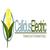 Callidus_electric_las_vegas_logo