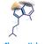 Shloog