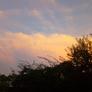 Img-20200720-wa0000