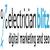 Logo-electrician-blitz