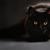 Black_cat-1366x768