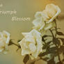 Upload