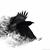 Crow_wings_bird_swing_85055_1024x768