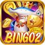 Bingo2