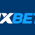 1xbet-logo