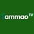 Tammaotv