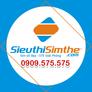 Avata-sieu-thi-sim-the