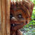 Carved_boy